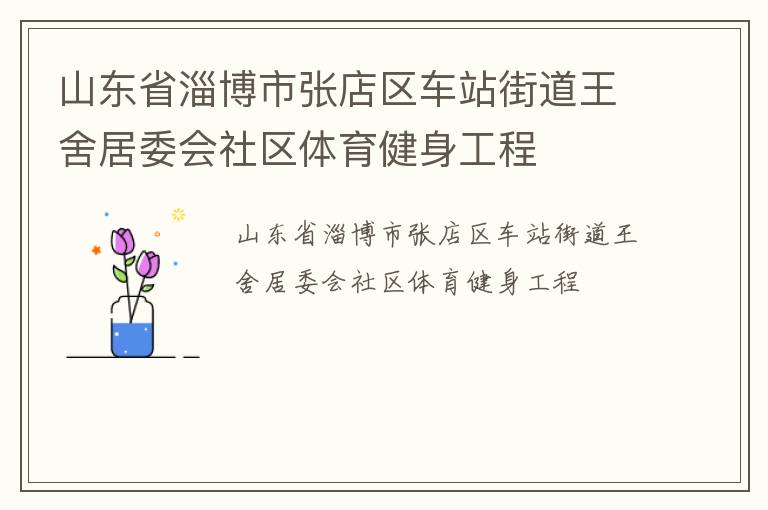 山东省淄博市张店区车站街道王舍居委会社区体育健身工程