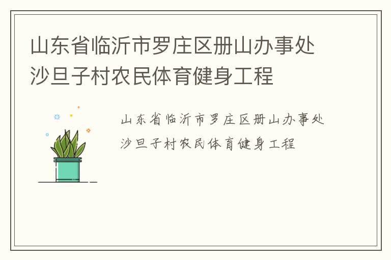 山东省临沂市罗庄区册山办事处沙旦子村农民体育健身工程
