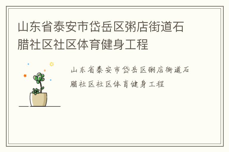 山东省泰安市岱岳区粥店街道石腊社区社区体育健身工程