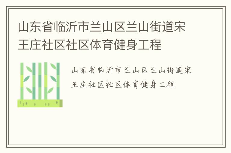 山东省临沂市兰山区兰山街道宋王庄社区社区体育健身工程