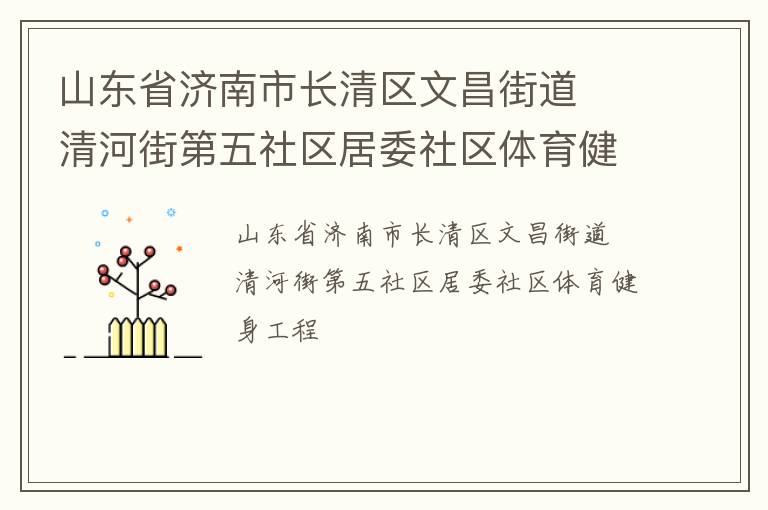 山东省济南市长清区文昌街道  清河街第五社区居委社区体育健身工程