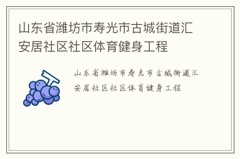 山东省潍坊市寿光市古城街道汇安居社区社区体育健身工程