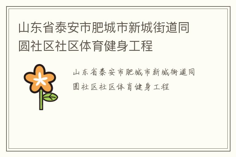 山东省泰安市肥城市新城街道同圆社区社区体育健身工程