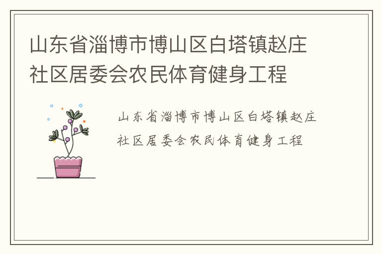 山东省淄博市博山区白塔镇赵庄社区居委会农民体育健身工程