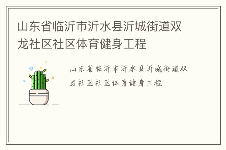 山东省临沂市沂水县沂城街道双龙社区社区体育健身工程