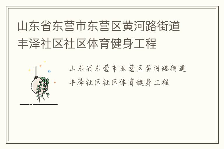 山东省东营市东营区黄河路街道丰泽社区社区体育健身工程