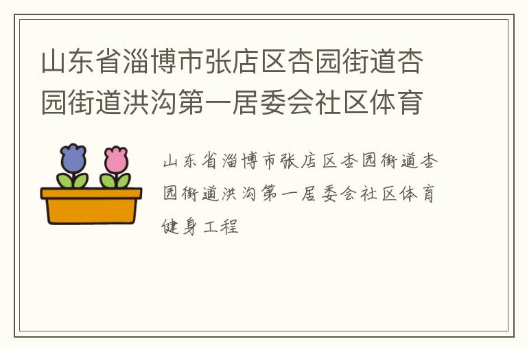 山东省淄博市张店区杏园街道杏园街道洪沟第一居委会社区体育健身工程
