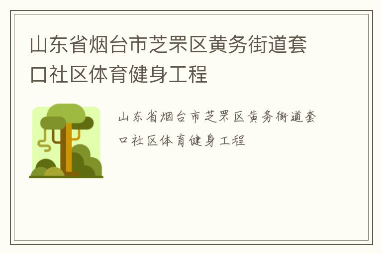 山东省烟台市芝罘区黄务街道套口社区体育健身工程