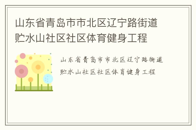 山东省青岛市市北区辽宁路街道贮水山社区社区体育健身工程