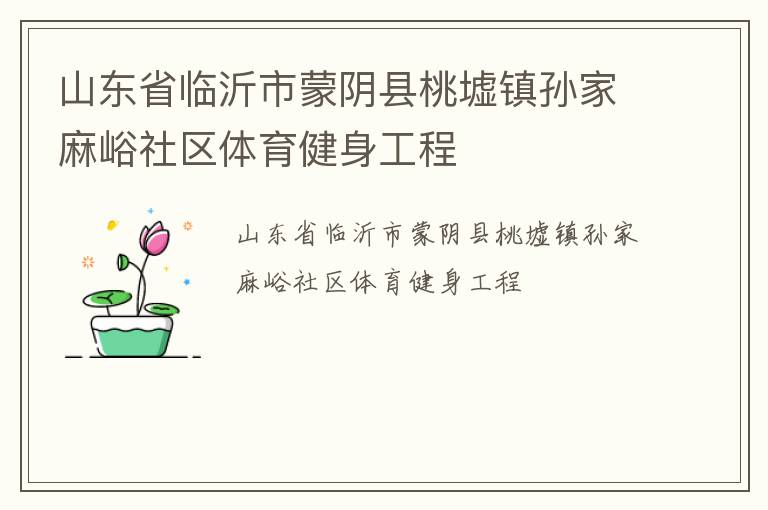 山东省临沂市蒙阴县桃墟镇孙家麻峪社区体育健身工程