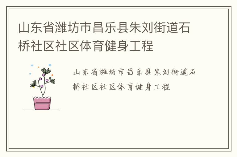 山东省潍坊市昌乐县朱刘街道石桥社区社区体育健身工程