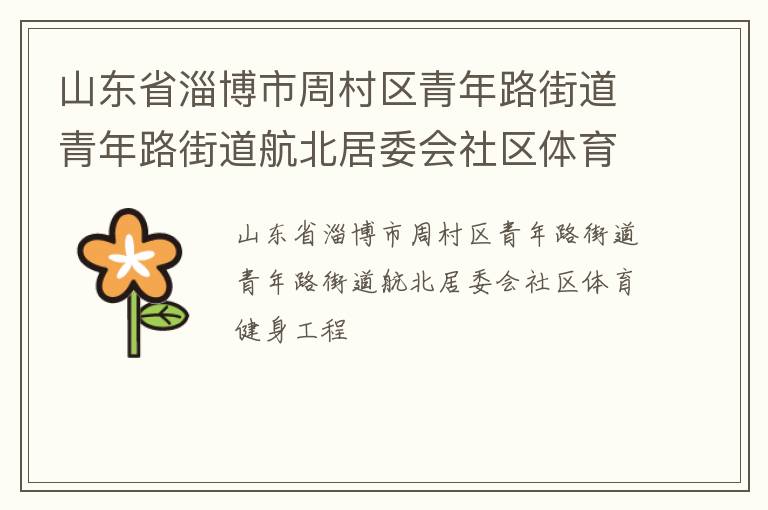 山东省淄博市周村区青年路街道青年路街道航北居委会社区体育健身工程