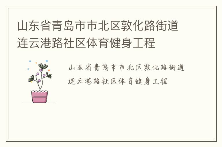 山东省青岛市市北区敦化路街道连云港路社区体育健身工程