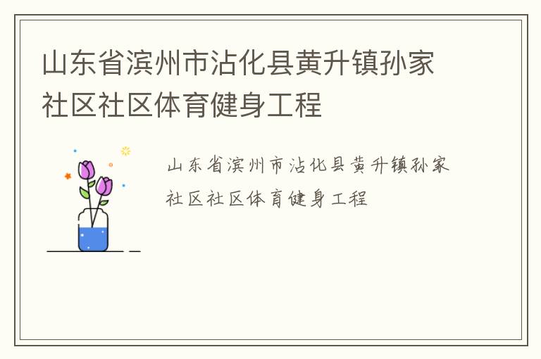 山东省滨州市沾化县黄升镇孙家社区社区体育健身工程
