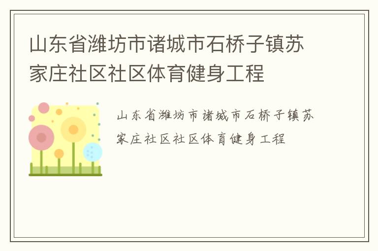 山东省潍坊市诸城市石桥子镇苏家庄社区社区体育健身工程