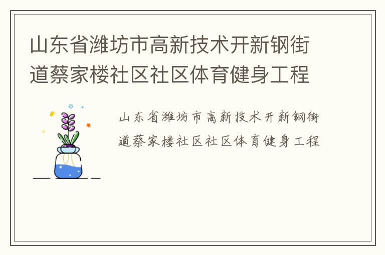 山东省潍坊市高新技术开新钢街道蔡家楼社区社区体育健身工程