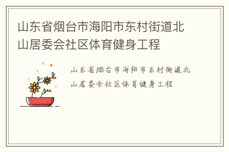 山东省烟台市海阳市东村街道北山居委会社区体育健身工程