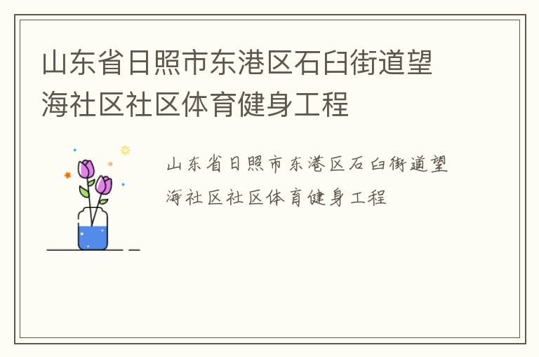 山东省日照市东港区石臼街道望海社区社区体育健身工程