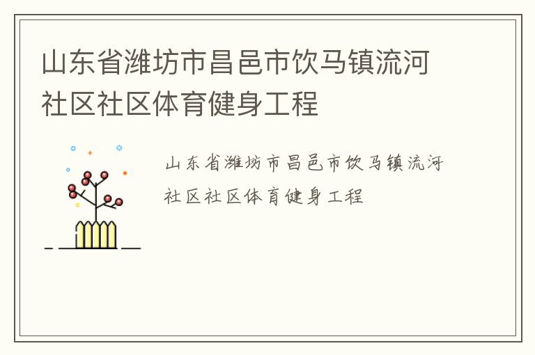 山东省潍坊市昌邑市饮马镇流河社区社区体育健身工程
