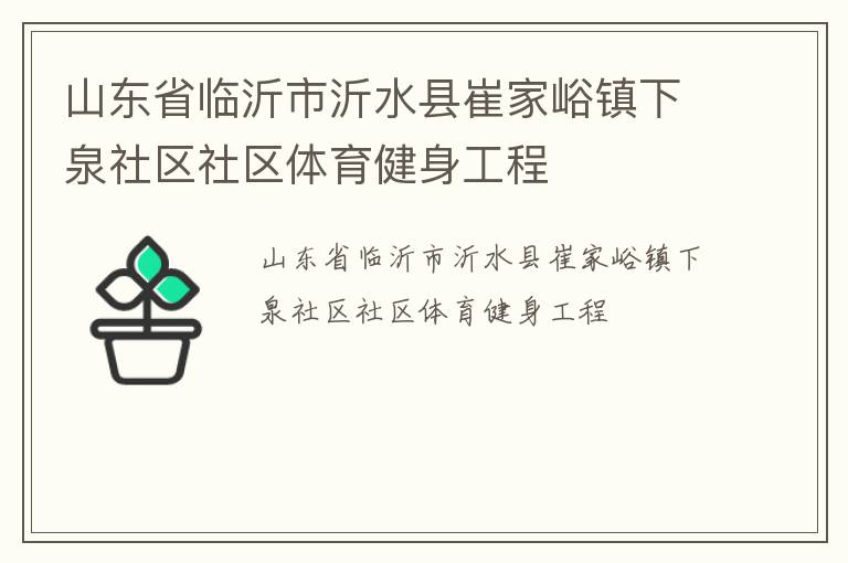 山东省临沂市沂水县崔家峪镇下泉社区社区体育健身工程