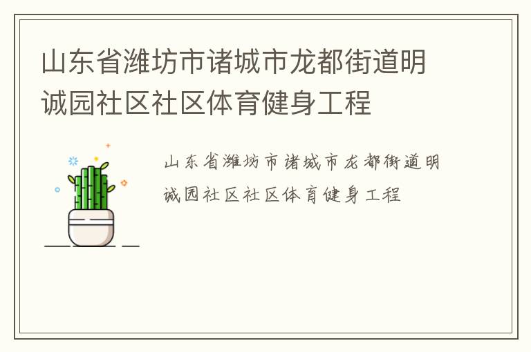 山东省潍坊市诸城市龙都街道明诚园社区社区体育健身工程