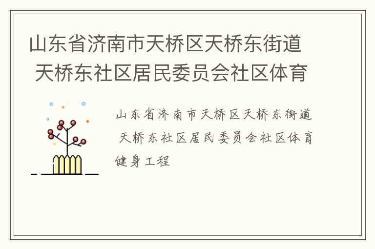 山东省济南市天桥区天桥东街道 天桥东社区居民委员会社区体育健身工程