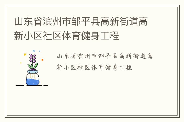 山东省滨州市邹平县高新街道高新小区社区体育健身工程