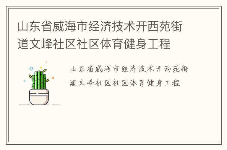 山东省威海市经济技术开西苑街道文峰社区社区体育健身工程