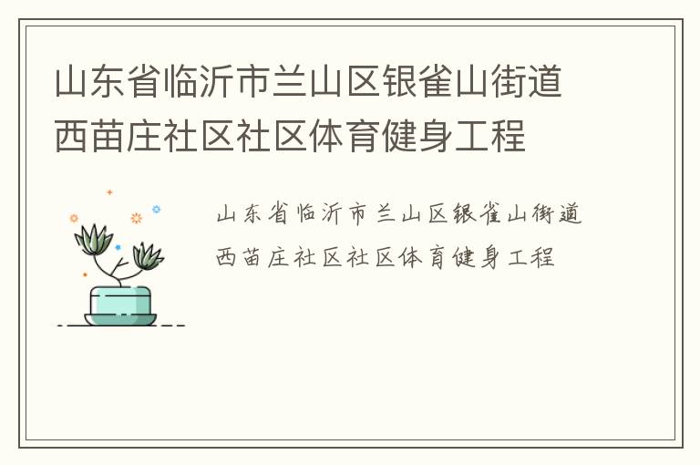山东省临沂市兰山区银雀山街道西苗庄社区社区体育健身工程
