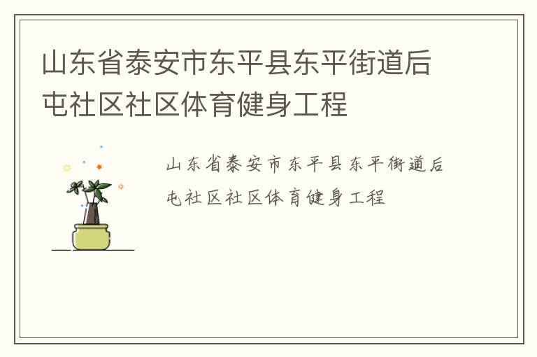 山东省泰安市东平县东平街道后屯社区社区体育健身工程