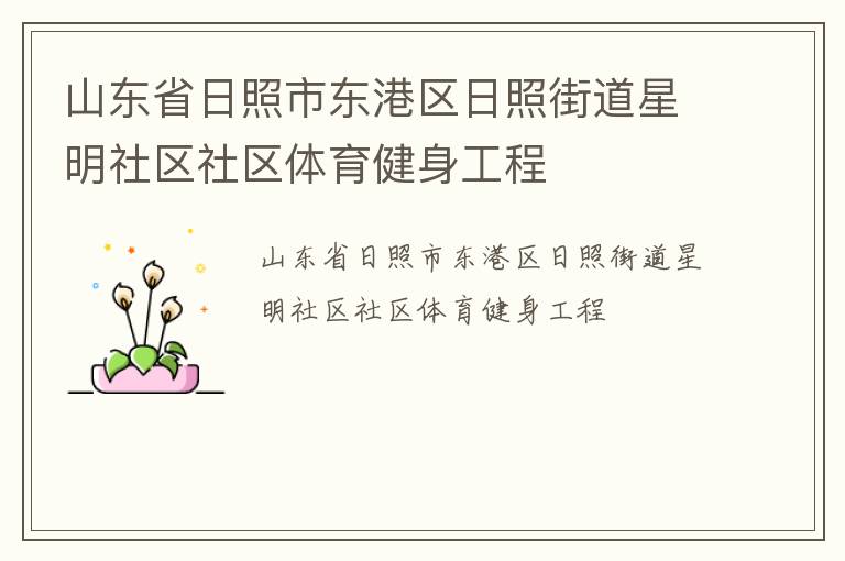 山东省日照市东港区日照街道星明社区社区体育健身工程