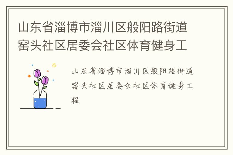 山东省淄博市淄川区般阳路街道窑头社区居委会社区体育健身工程