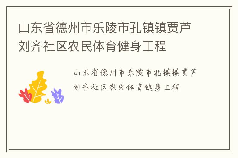 山东省德州市乐陵市孔镇镇贾芦刘齐社区农民体育健身工程