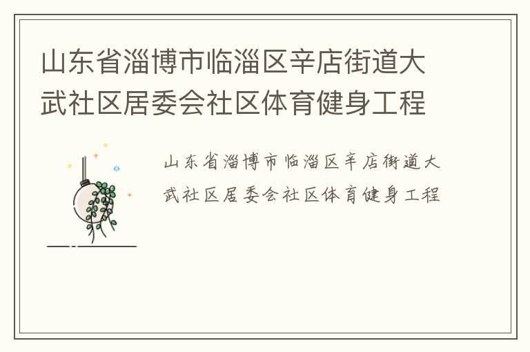 山东省淄博市临淄区辛店街道大武社区居委会社区体育健身工程