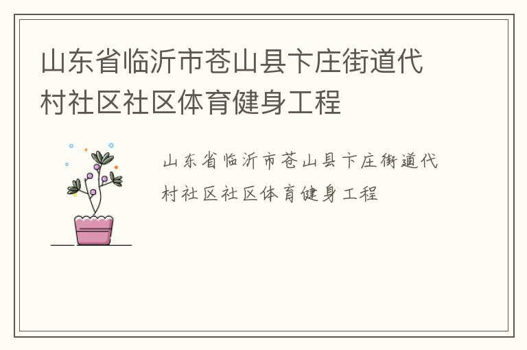 山东省临沂市苍山县卞庄街道代村社区社区体育健身工程