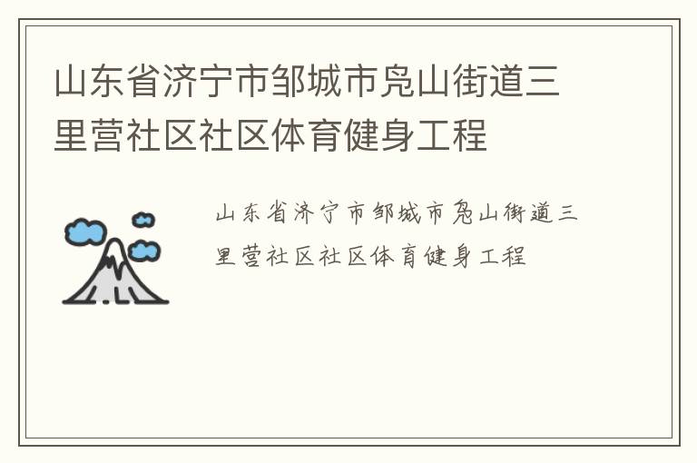 山东省济宁市邹城市凫山街道三里营社区社区体育健身工程