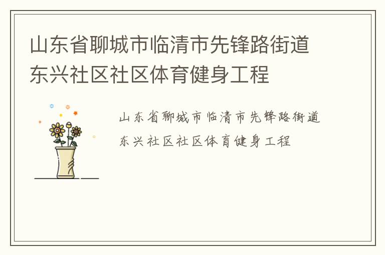 山东省聊城市临清市先锋路街道东兴社区社区体育健身工程