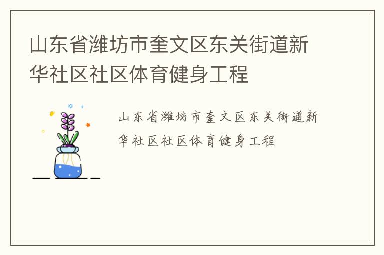 山东省潍坊市奎文区东关街道新华社区社区体育健身工程