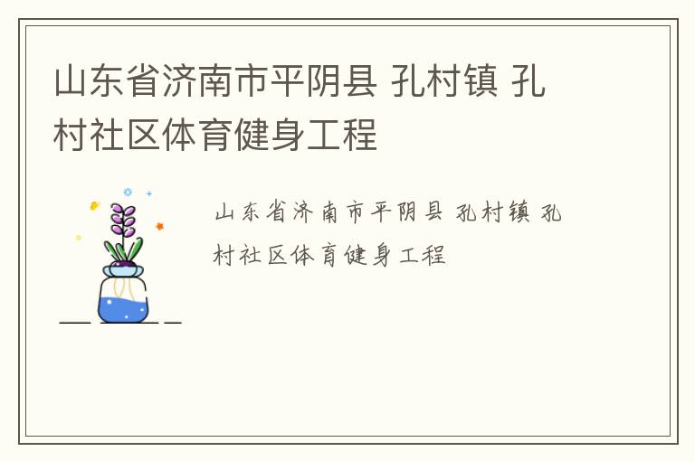 山东省济南市平阴县 孔村镇 孔村社区体育健身工程