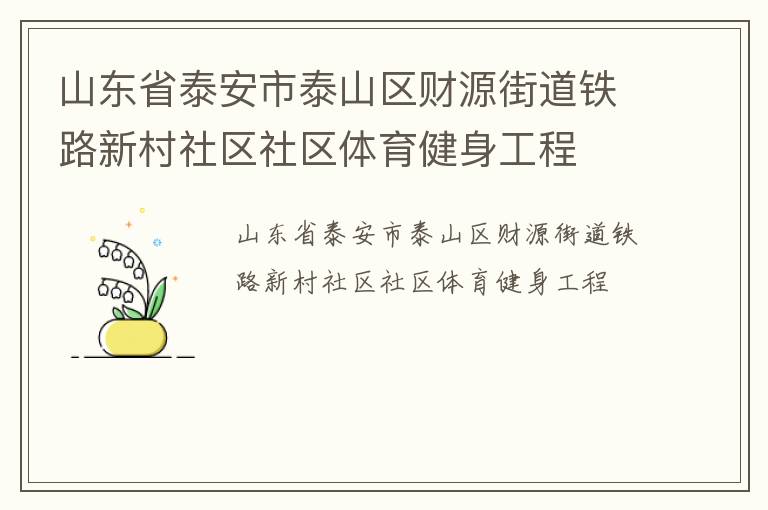 山东省泰安市泰山区财源街道铁路新村社区社区体育健身工程