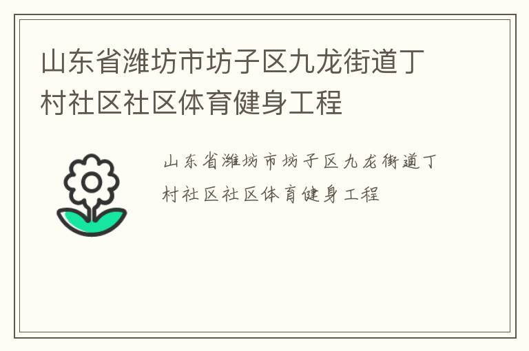 山东省潍坊市坊子区九龙街道丁村社区社区体育健身工程