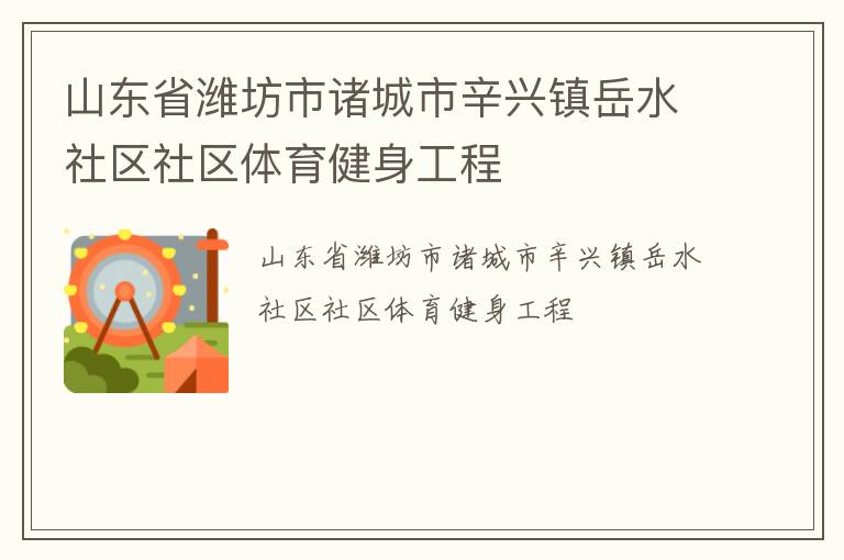 山东省潍坊市诸城市辛兴镇岳水社区社区体育健身工程