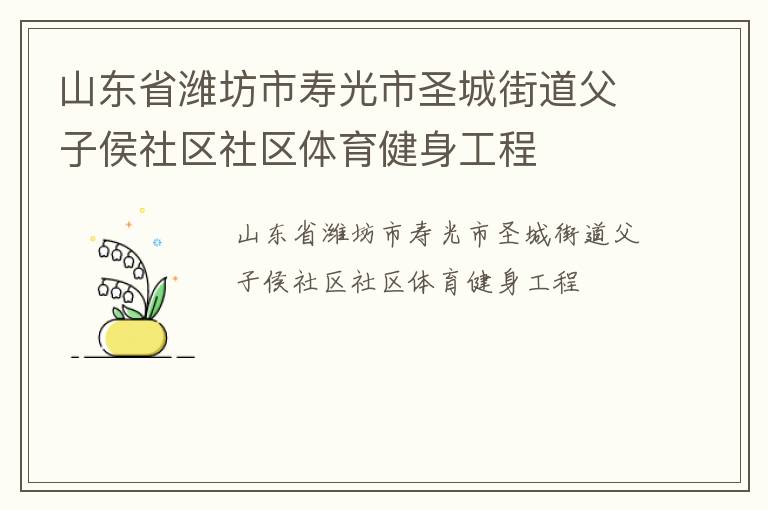 山东省潍坊市寿光市圣城街道父子侯社区社区体育健身工程