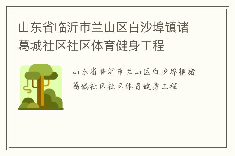 山东省临沂市兰山区白沙埠镇诸葛城社区社区体育健身工程