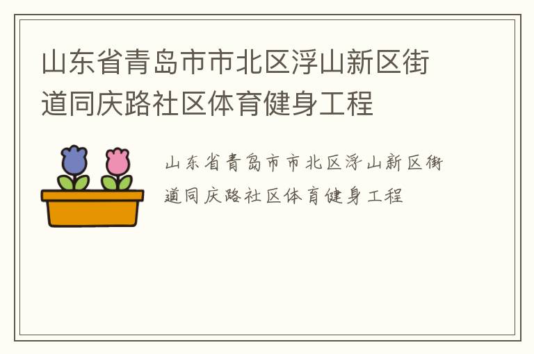 山东省青岛市市北区浮山新区街道同庆路社区体育健身工程
