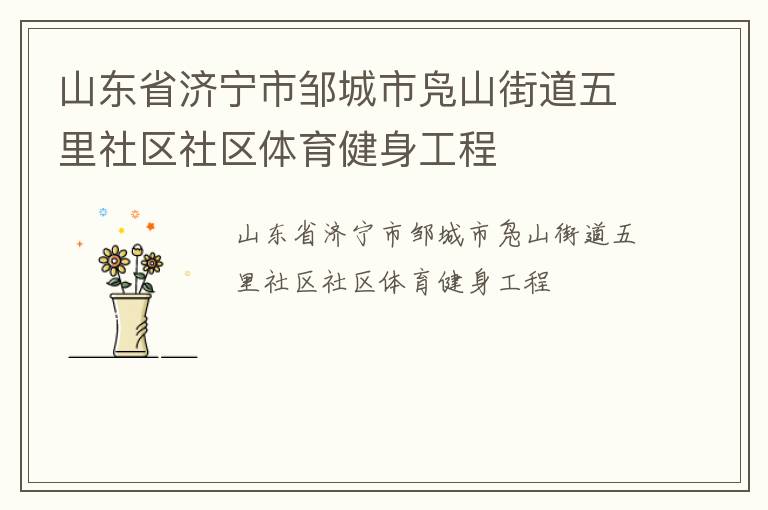 山东省济宁市邹城市凫山街道五里社区社区体育健身工程