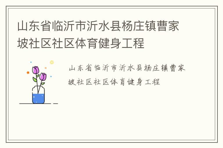 山东省临沂市沂水县杨庄镇曹家坡社区社区体育健身工程
