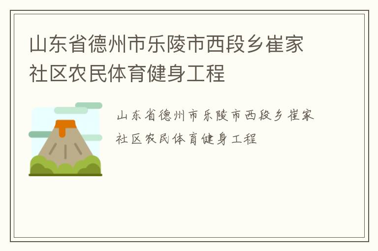 山东省德州市乐陵市西段乡崔家社区农民体育健身工程
