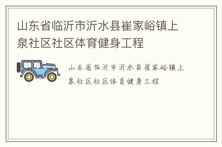 山东省临沂市沂水县崔家峪镇上泉社区社区体育健身工程