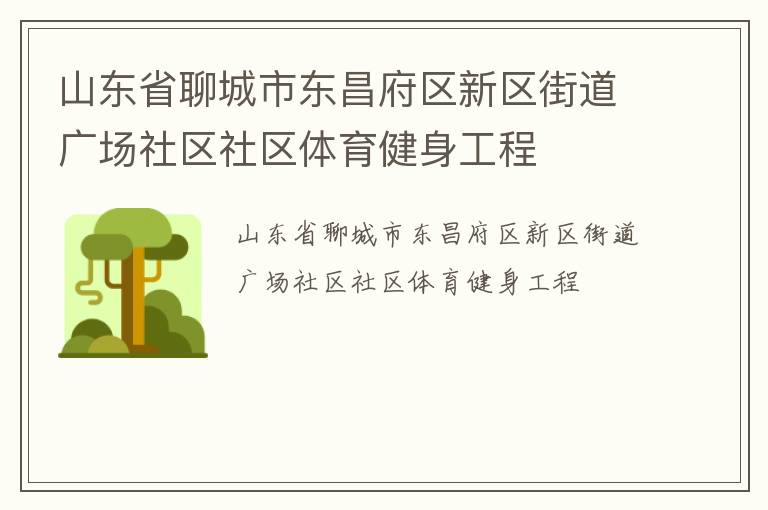 山东省聊城市东昌府区新区街道广场社区社区体育健身工程